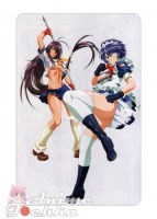 Ikkitousen 11